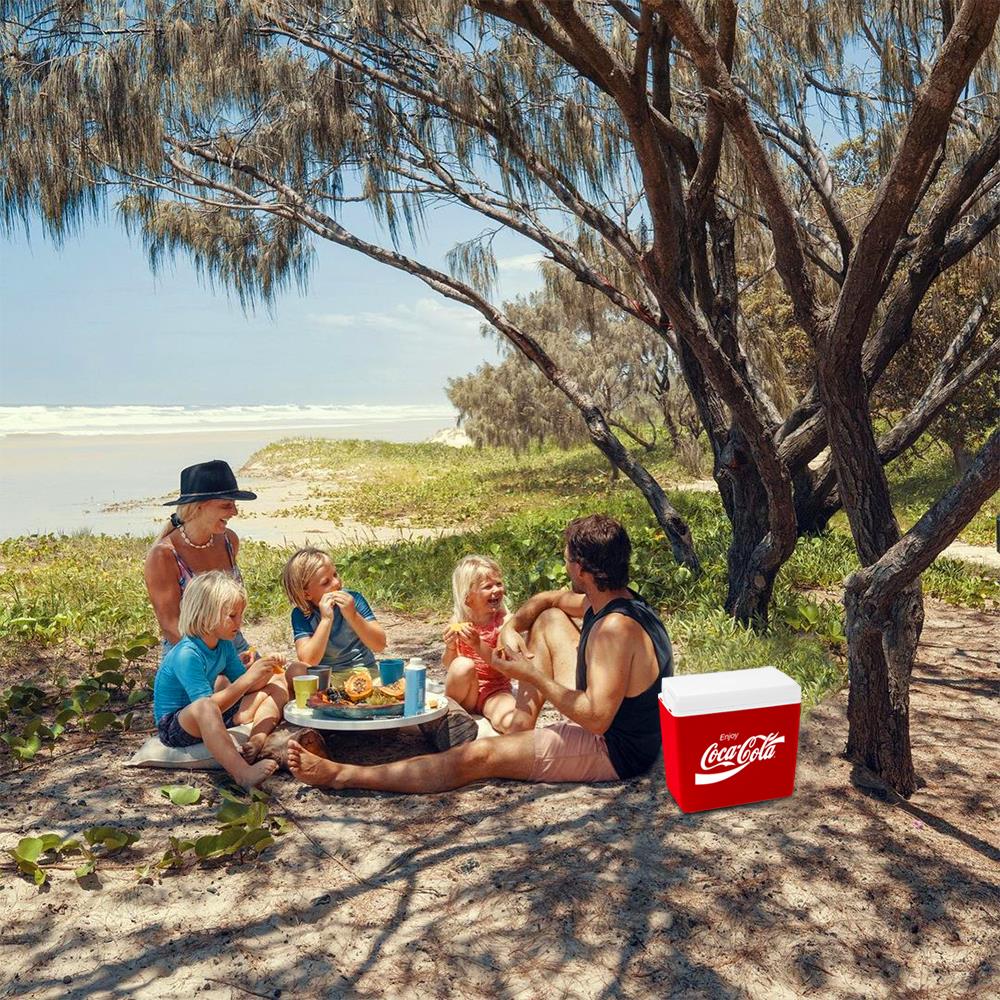 coca-cola-ccmp24-24-litre-buzluk-12743