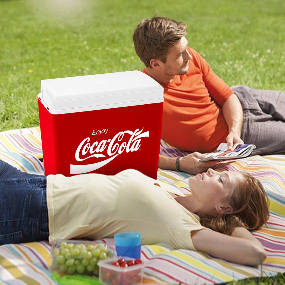 coca-cola-ccmp24-24-litre-buzluk-12744