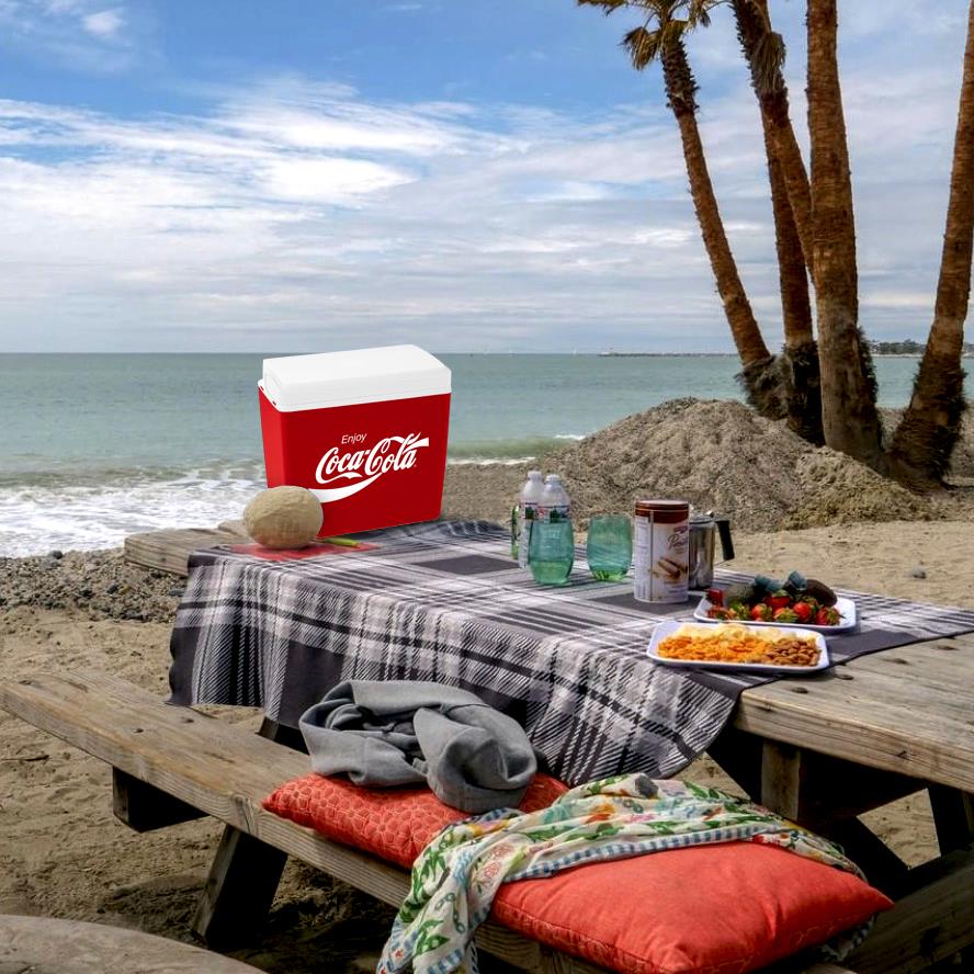 coca-cola-ccmp24-24-litre-buzluk-12745