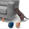 Shed Pal Yapıştırılabilir Kedi Tırmalama Matı
